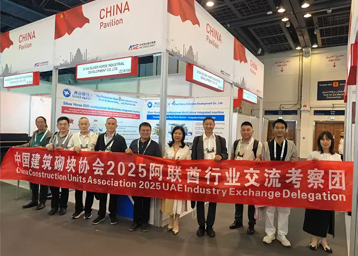 China Construction Brick Association 2025 VAE Industrie-uitwisselings- en inspectieteam